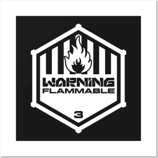 Warning: Flammable Posters and Art